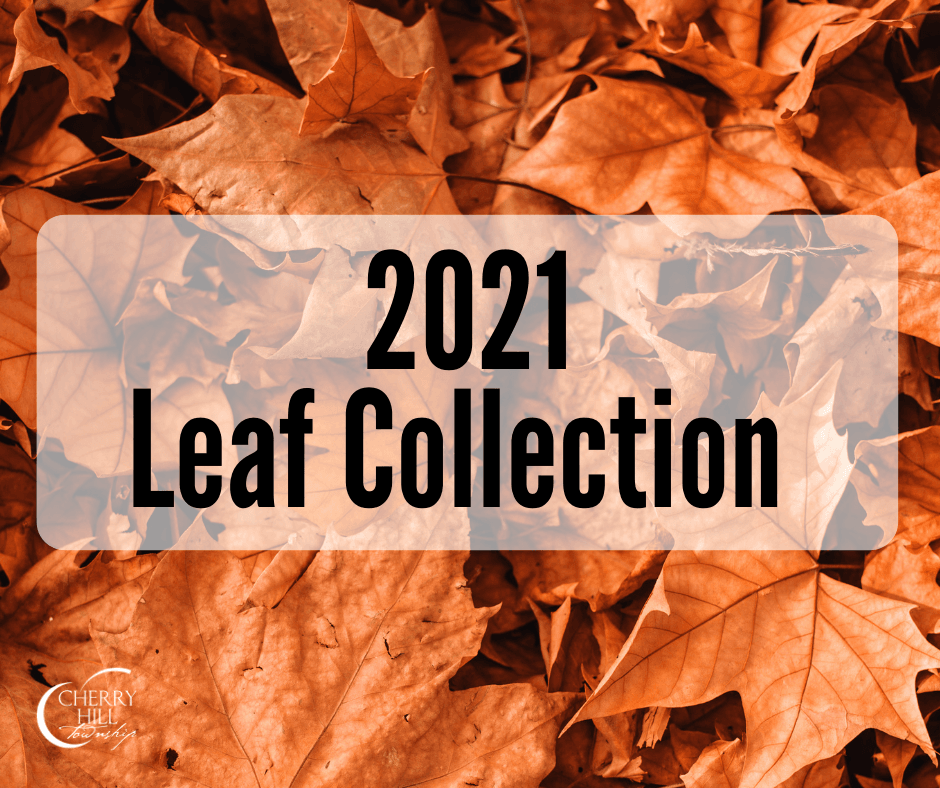 2021 Leaf Collection (Website News Flash)