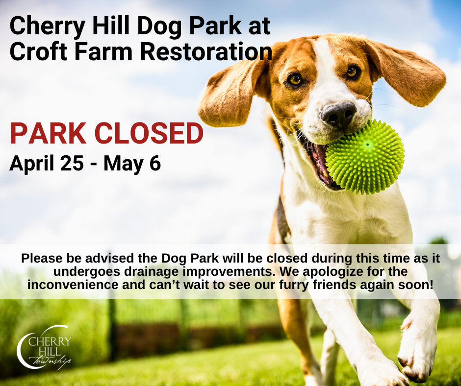 Croft Farm Restoration