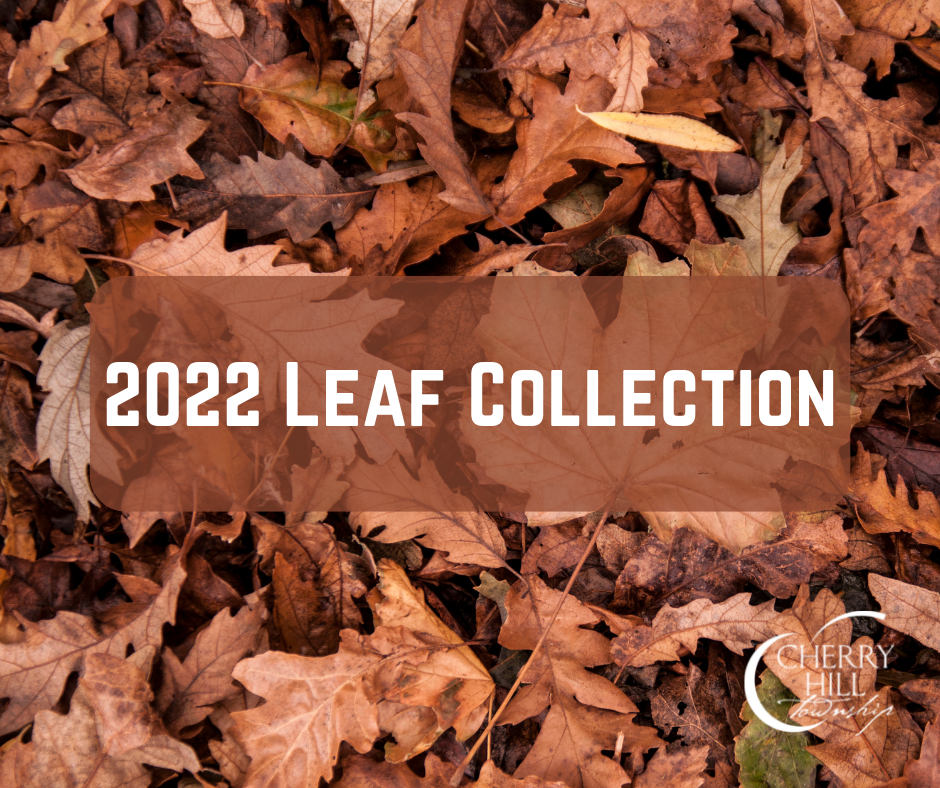 2022 Leaf Collection