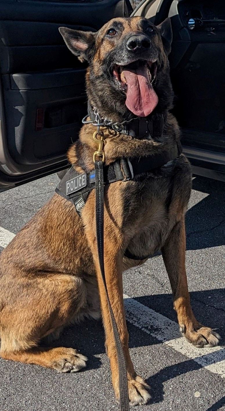 132D55D2-D52F-4A8A-B7FD-32AE703E3E0F