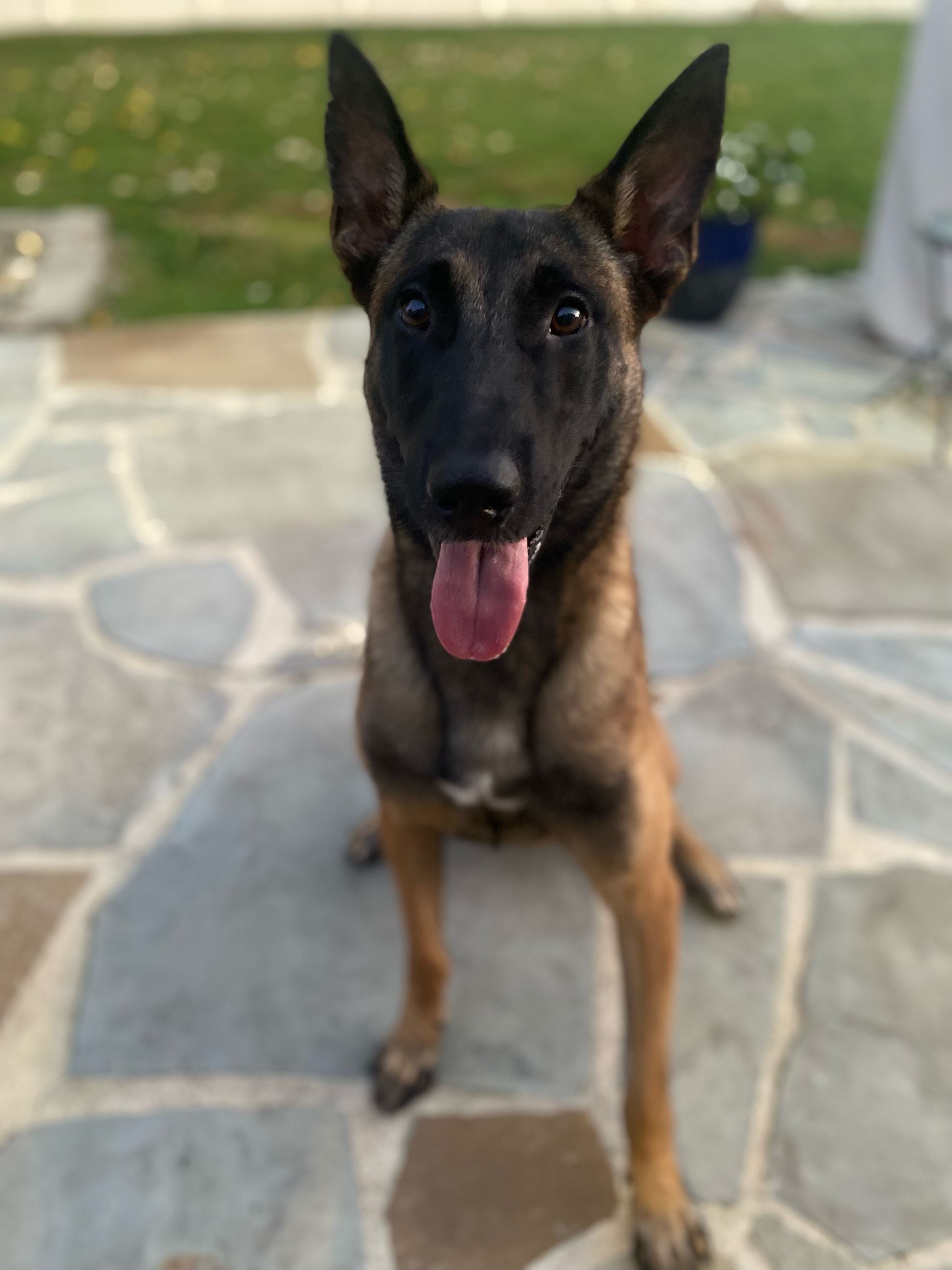 74B93D67-ACCD-441B-9EAE-477DE815DB4E