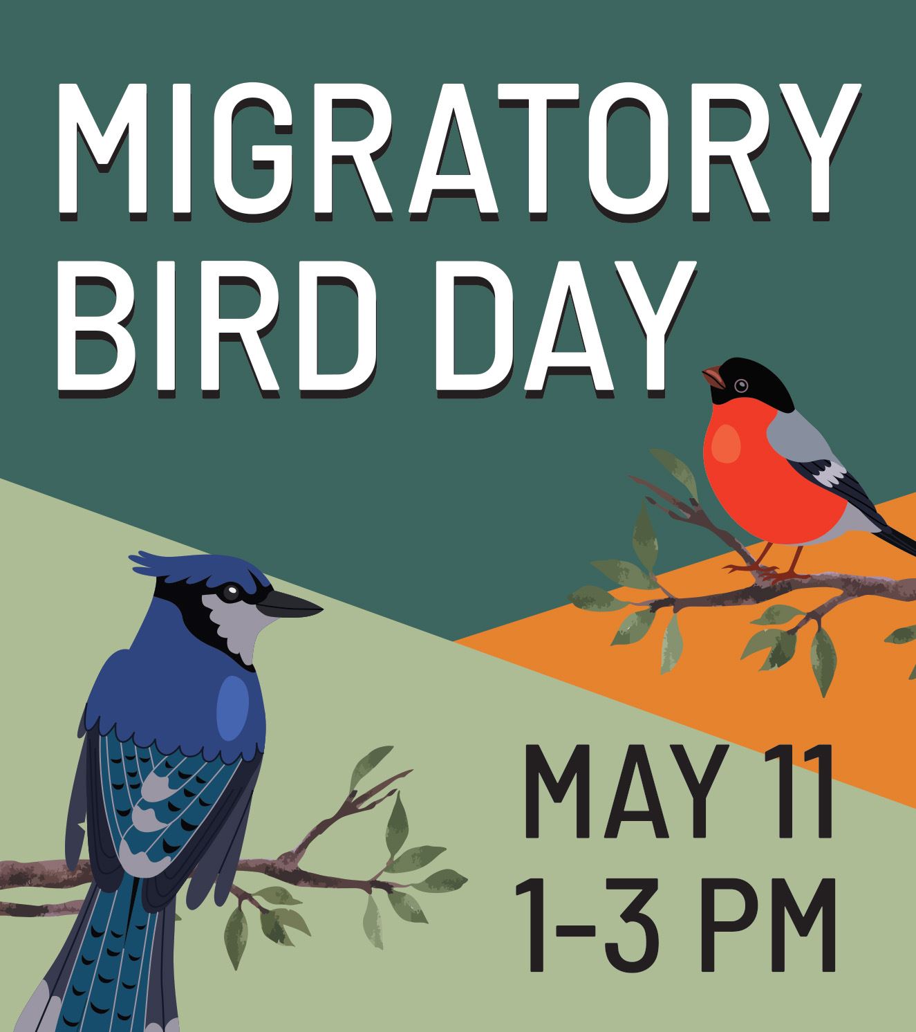 Migratory Bird Day NF
