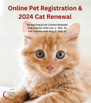 pet registration
