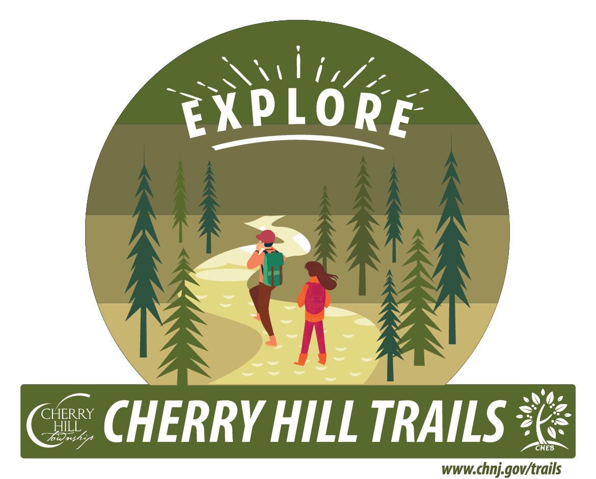 Trails Sticker