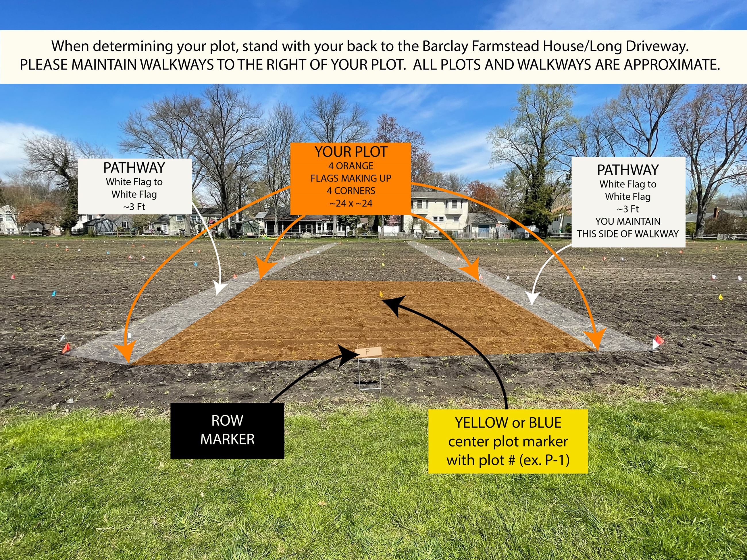 PAP 2024 Your Plot example