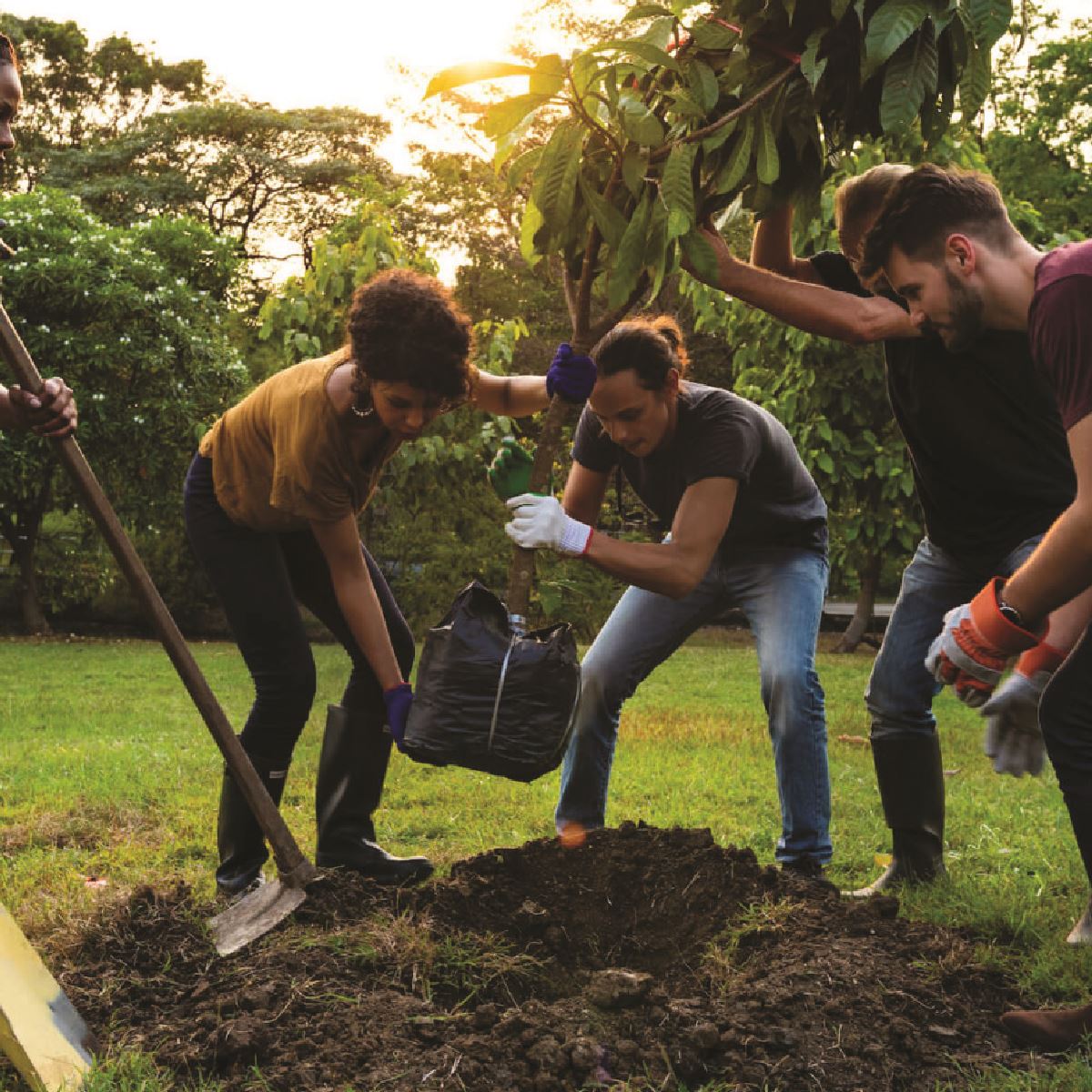 comm. tree planting-01