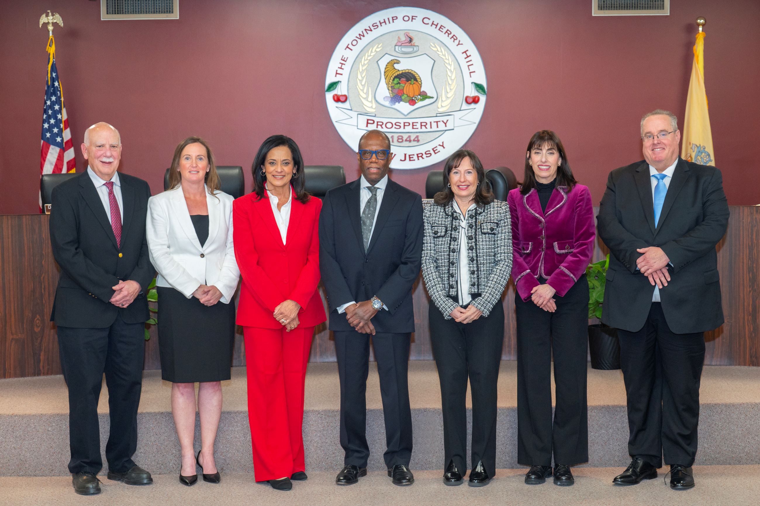 Township Council standing without mayor 2026